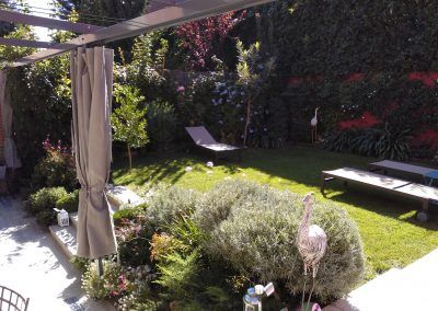 Realización de jardín en el Conde de Orgaz