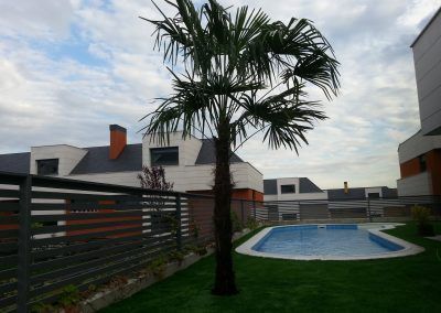 Realización de jardín en el Soto de la Moraleja